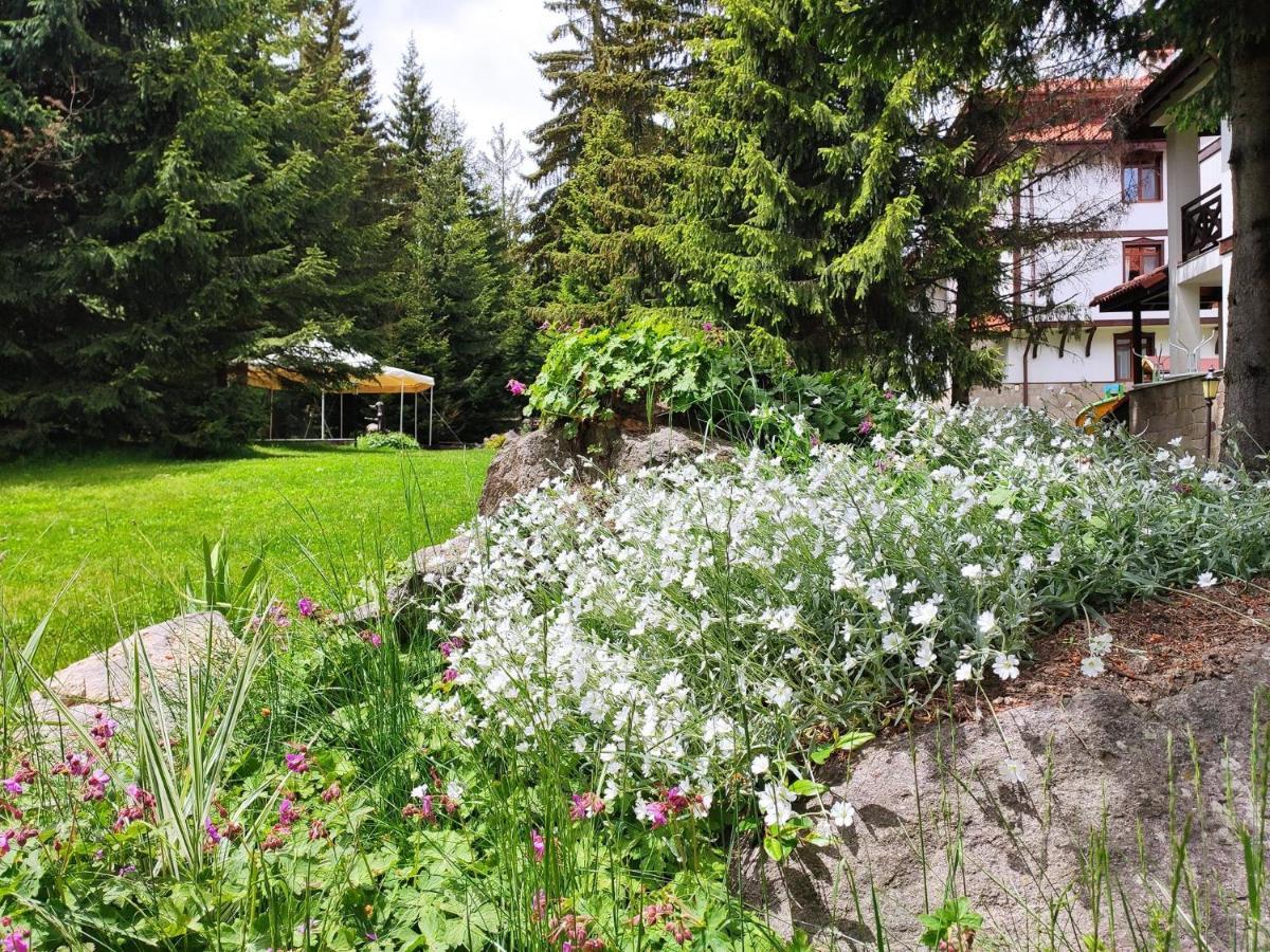 My Favorite Place: Smolyan Lakes Retreat Exterior photo
