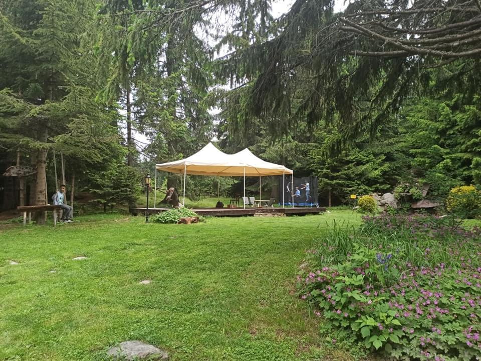 My Favorite Place: Smolyan Lakes Retreat Exterior photo